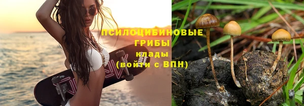 молекула духа Армянск